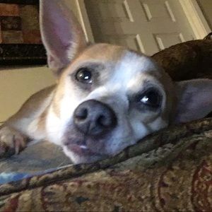 Meet your Posher, Ariana